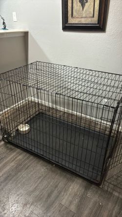 Dog Kennel