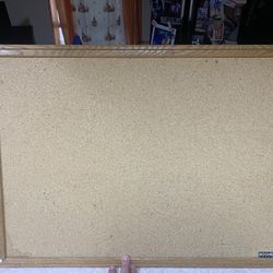 School Cork  Bulletin Boards  X 2 