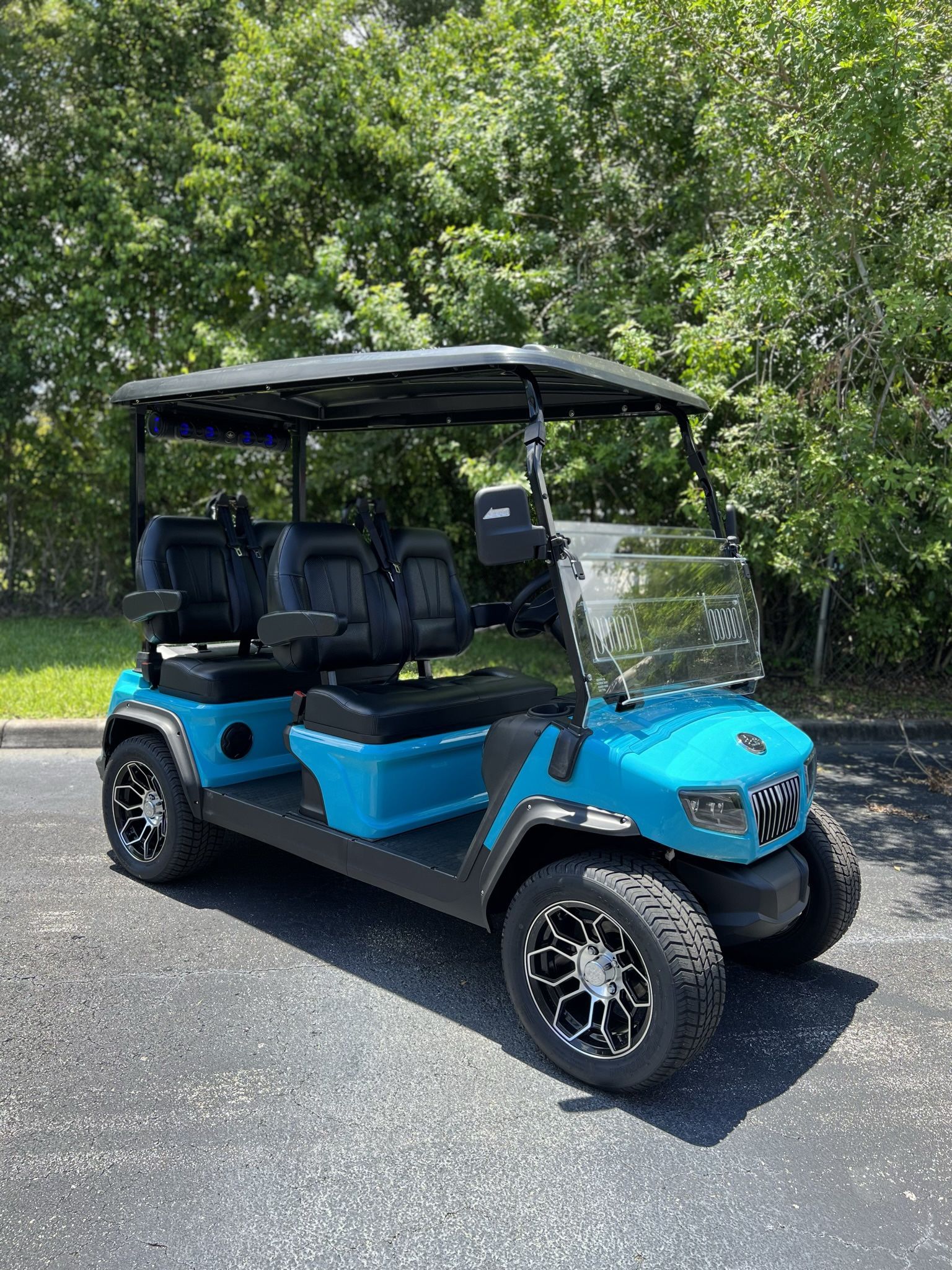 NEW Fully Warrantied Lithium Battery Golf Cart