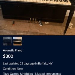 Wurlitzer Professional Piano