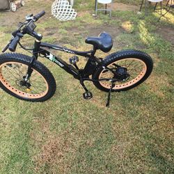 Electric Bike 