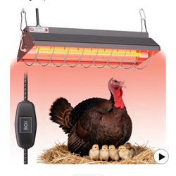 Chicken Coop Heat Lamp 