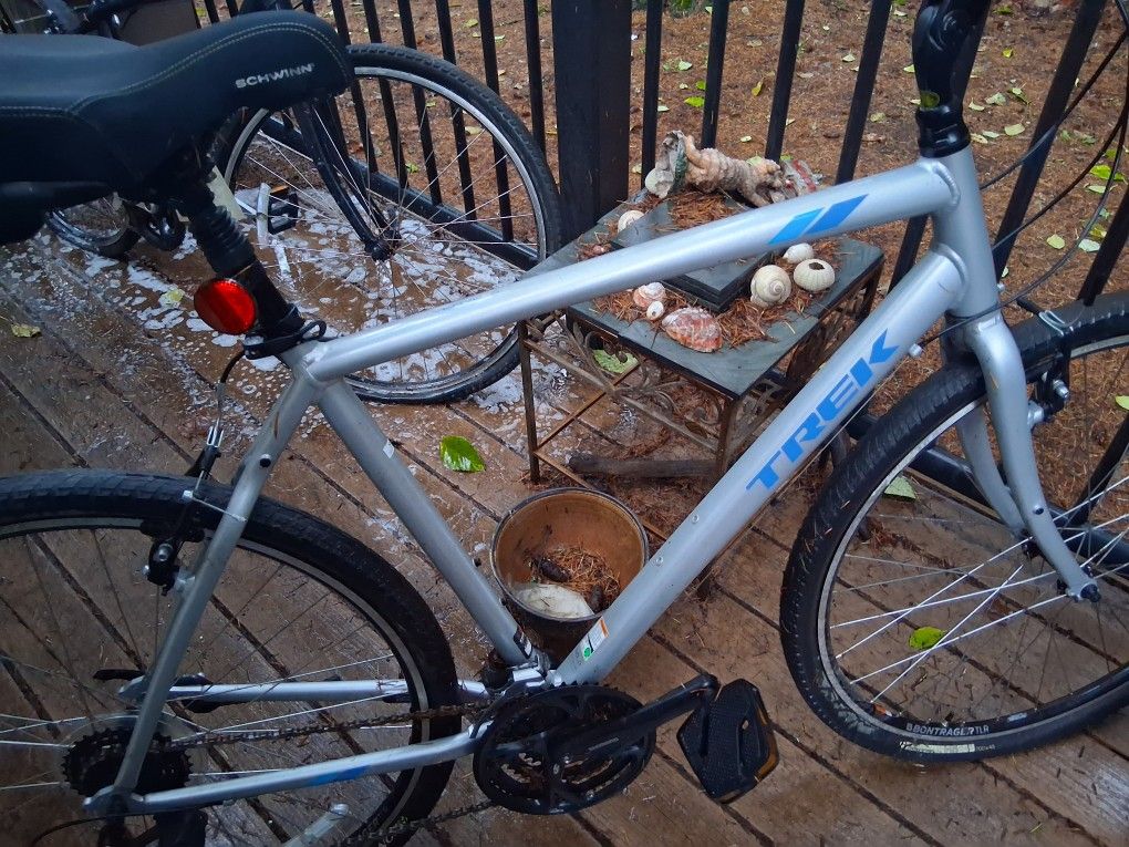 Schwinn Trek