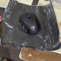 Computer Mouse 
