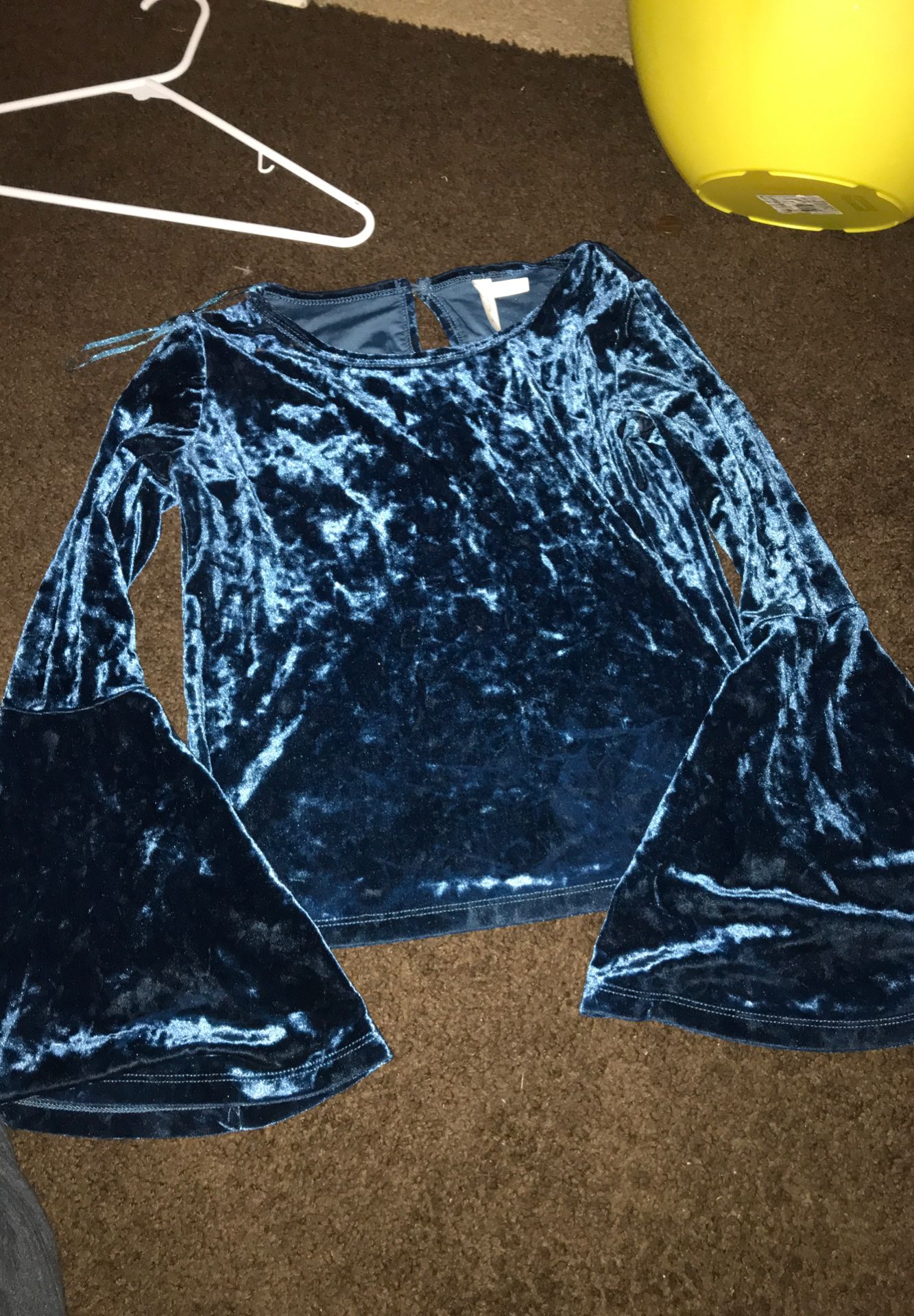 Blue Velvet Blouse