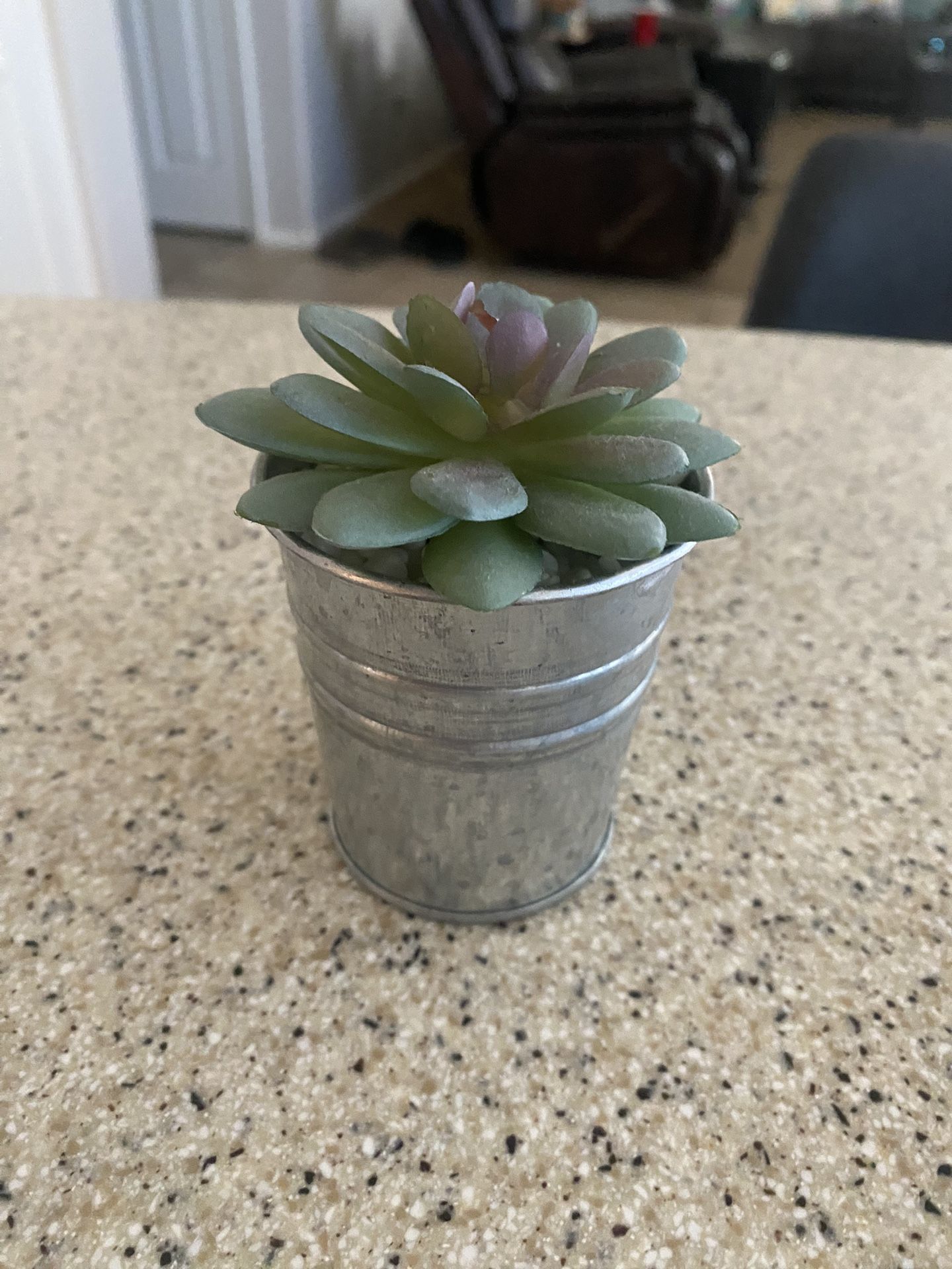 Pretty Decorative artificial Succulent
