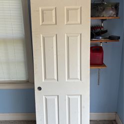 Door 79x28 