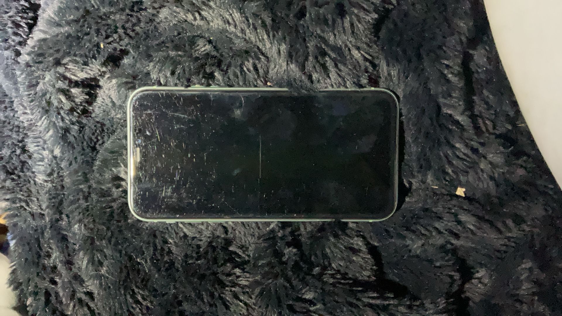 iPhone 11 Mint Color