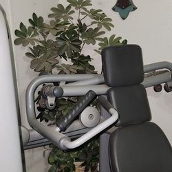 House Plants Artificial 