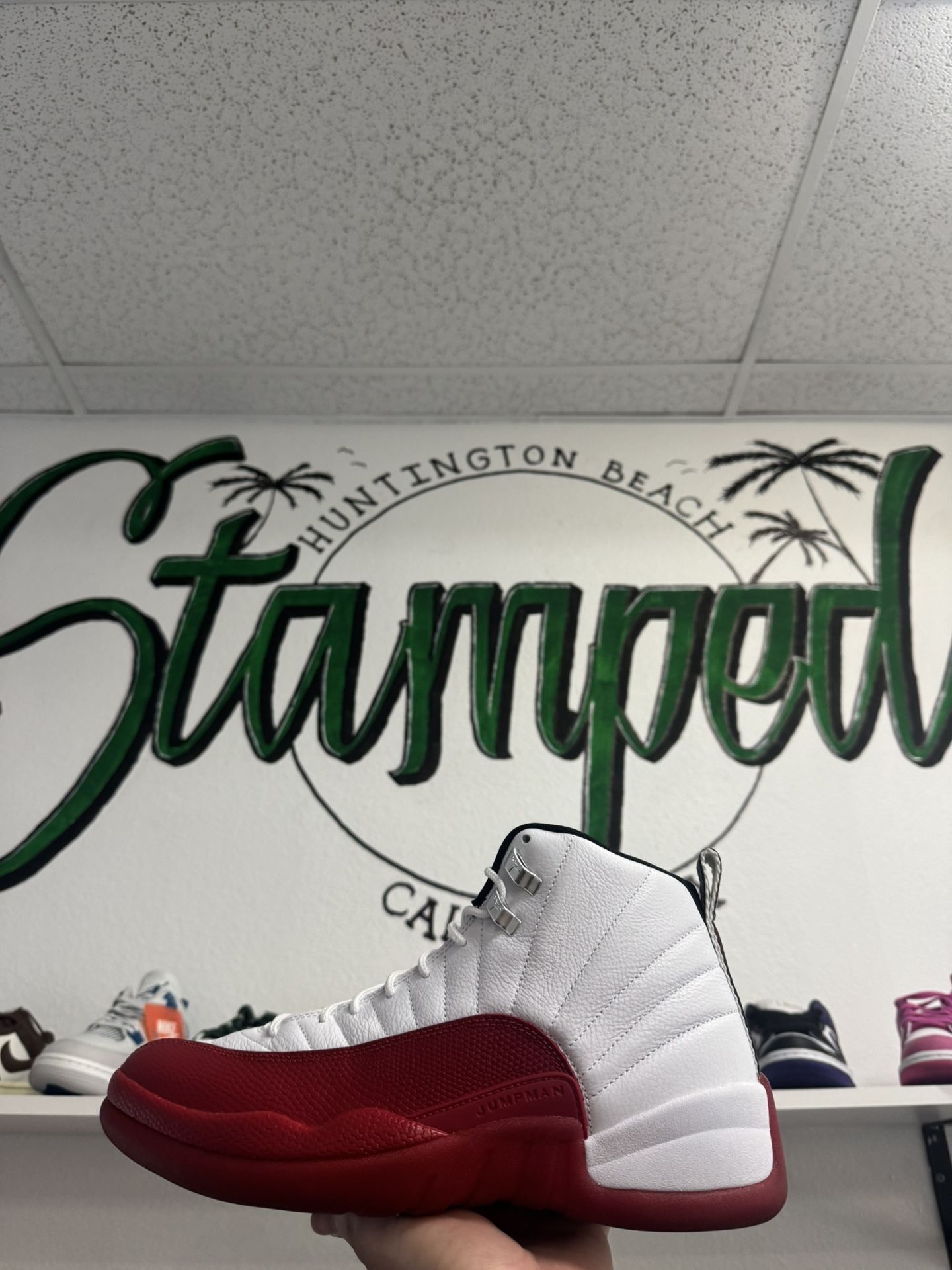 Jordan 12 Cherry