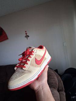 Nike DUNK LOW RETRO SE