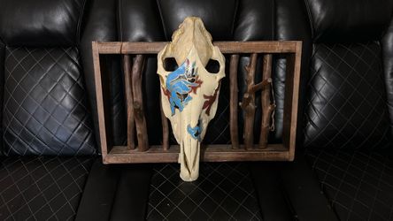 Hand-Painted Real Animal Skull Art in Rustic Wooden Display Frame