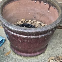 Large HEAVY Plant POT