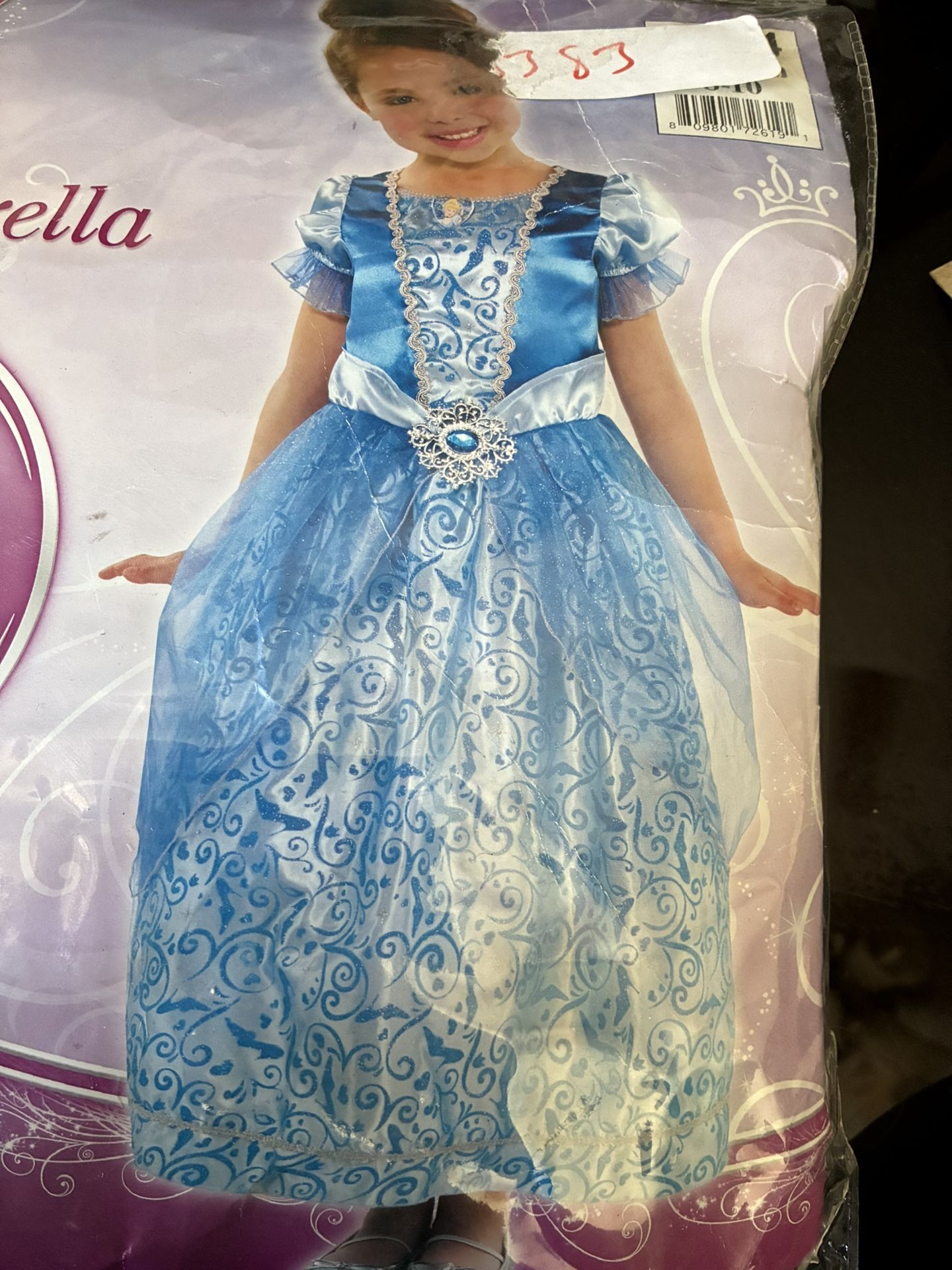 Cinderella costume