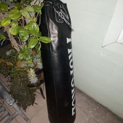 Punching Bag 100lbs