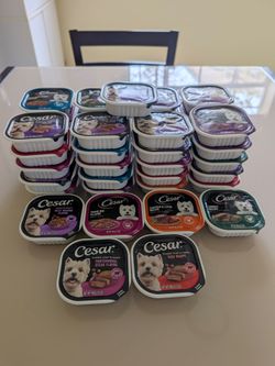 Dog food