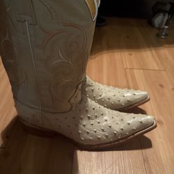 Ostrich Boots/botas de avestruz