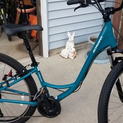 Brand New Girl Schwinn 28-in Fat Tire