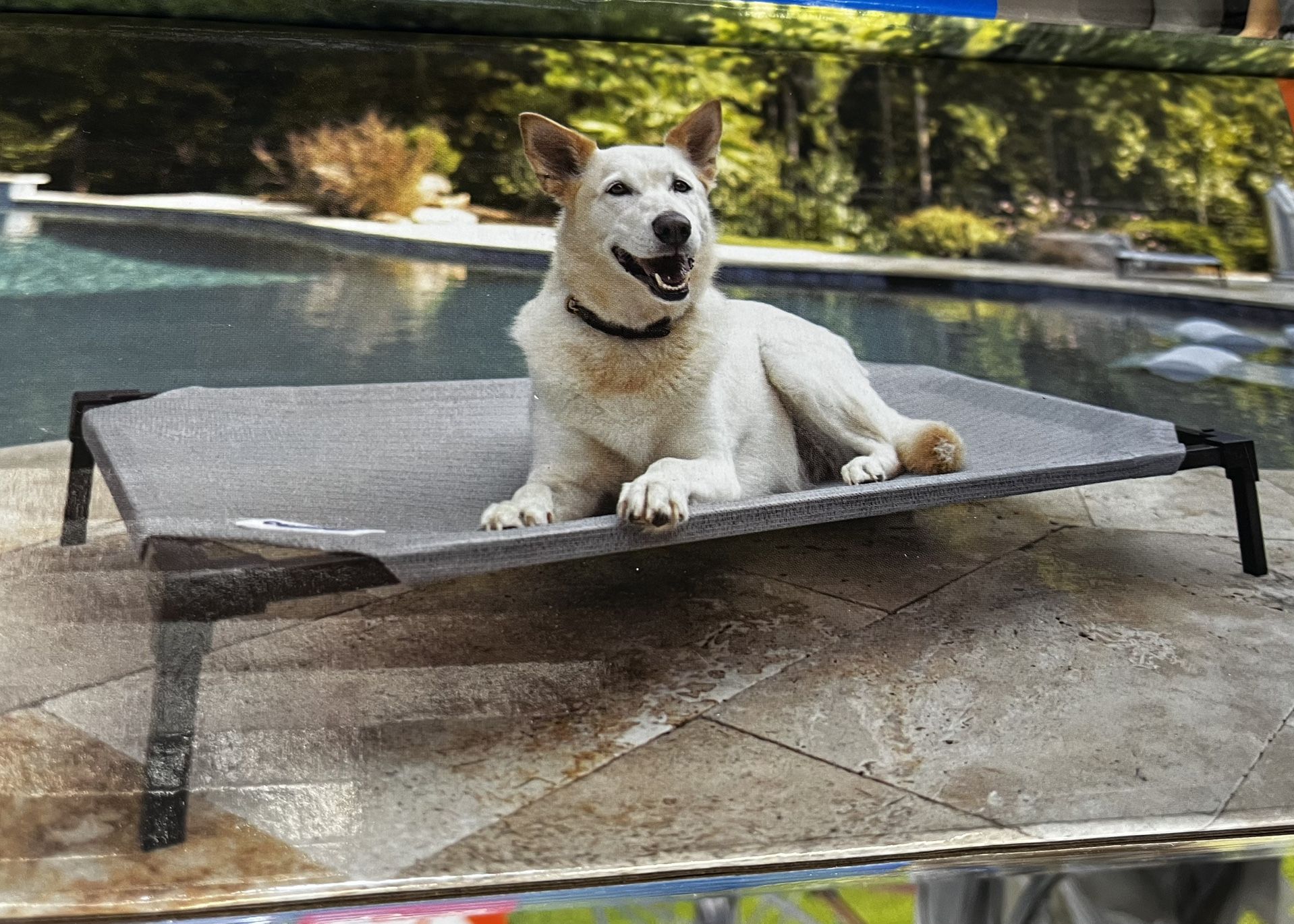 Dog Bed New Elevated Cool Portable Gray Large