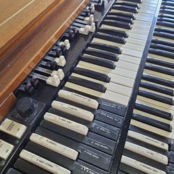 Hammond Organ