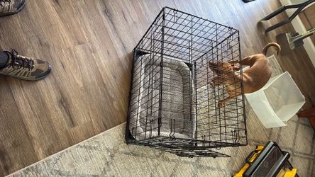 Dog Crate