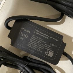 Philips Hue 40w Outdoor Voltage 