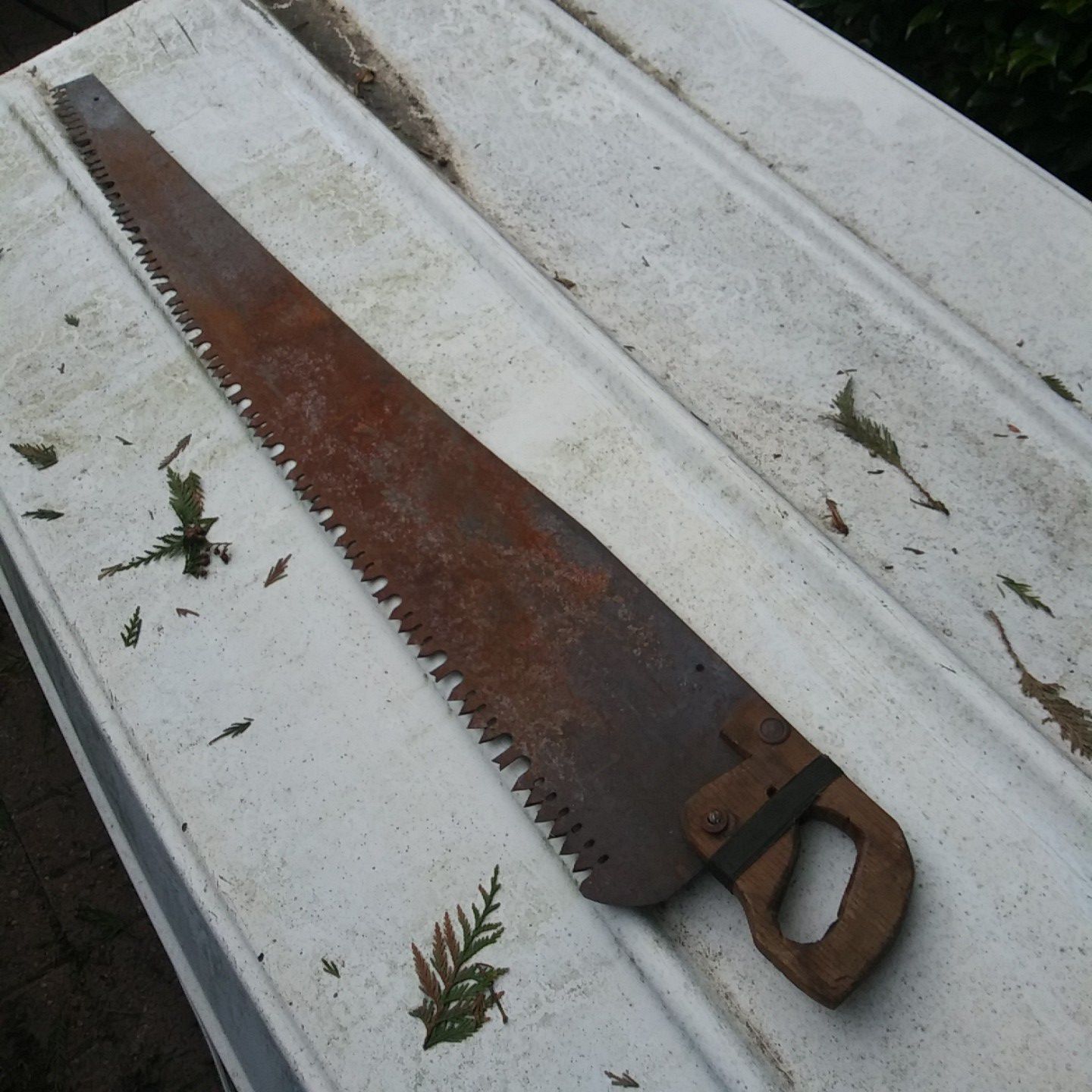 Superior Warranted Crosscut Logger Saw 4'