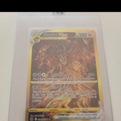 Pokemon Mystery Raw Hits.  (5 big hits 17 wildcards available) 