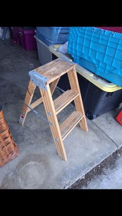 2 ft. Step Ladder