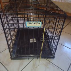 24"L x 18"W x 19"H

Large Pet cage with handle carrier and removable lining