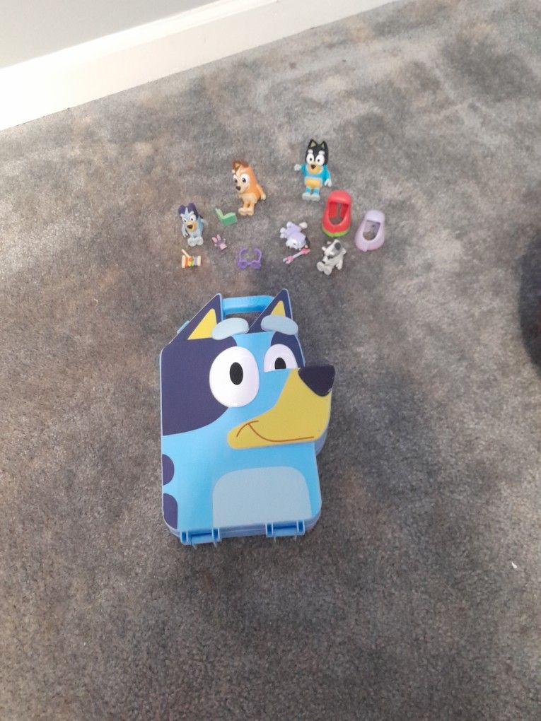 Bluey Case
