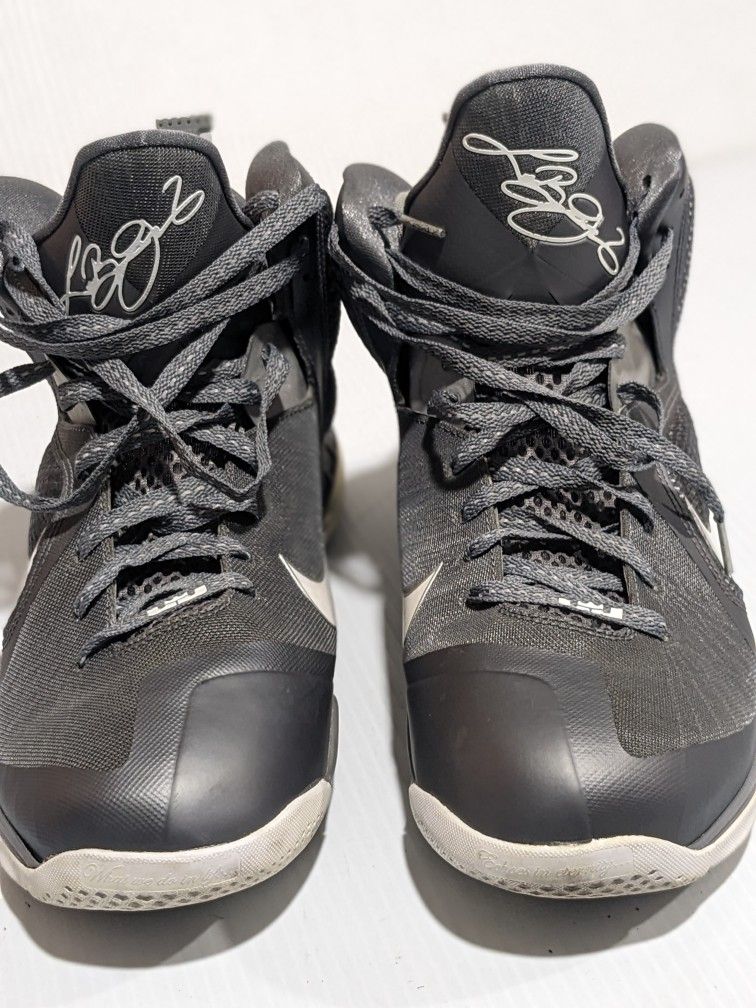 Lebron Size 12