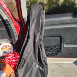 Guitar Case