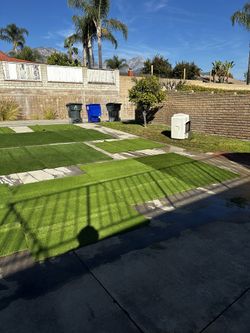 Artificial Grass