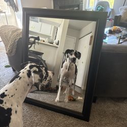 Big Mirror (black)