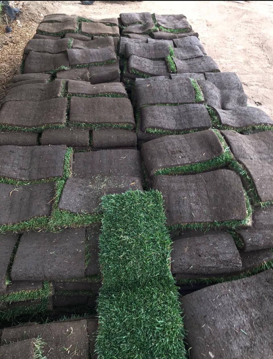 Grass And Sprinklers $3 Per Sq/ Ft