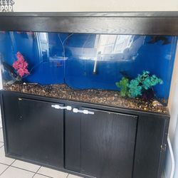 120 Gallon Acrylic Fish Tank