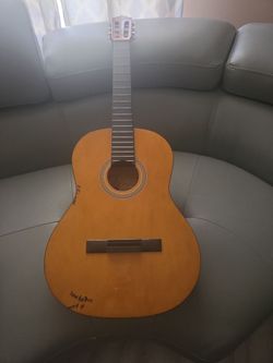 Palmer guitar, needs strings