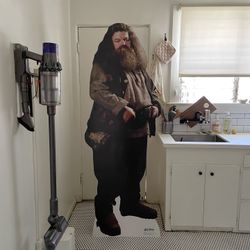 Hagrid Harry Potter birthday party, cardboard cutoff full size