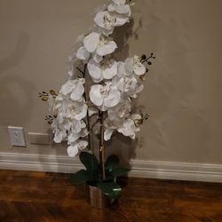 Artificial Plant 