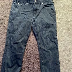 True Religion Pants