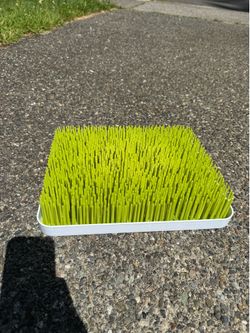 Large Boon Grass lawn