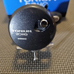 Shimano Torium 20HG