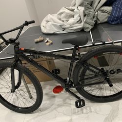 SE Stealth mode 29 Inc