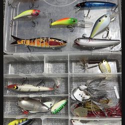 Fishing Bass Lures  For Bass Striper Largemouth Smallmouth Jerkbait Bladed Jig Topwater Rapala Swimbait