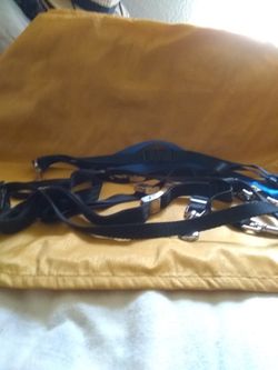 8 New Dog Grooming Restraint Loops