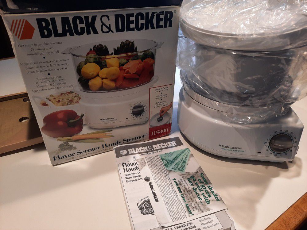 Black & Decker Flavor Scenter Handy Steamer
