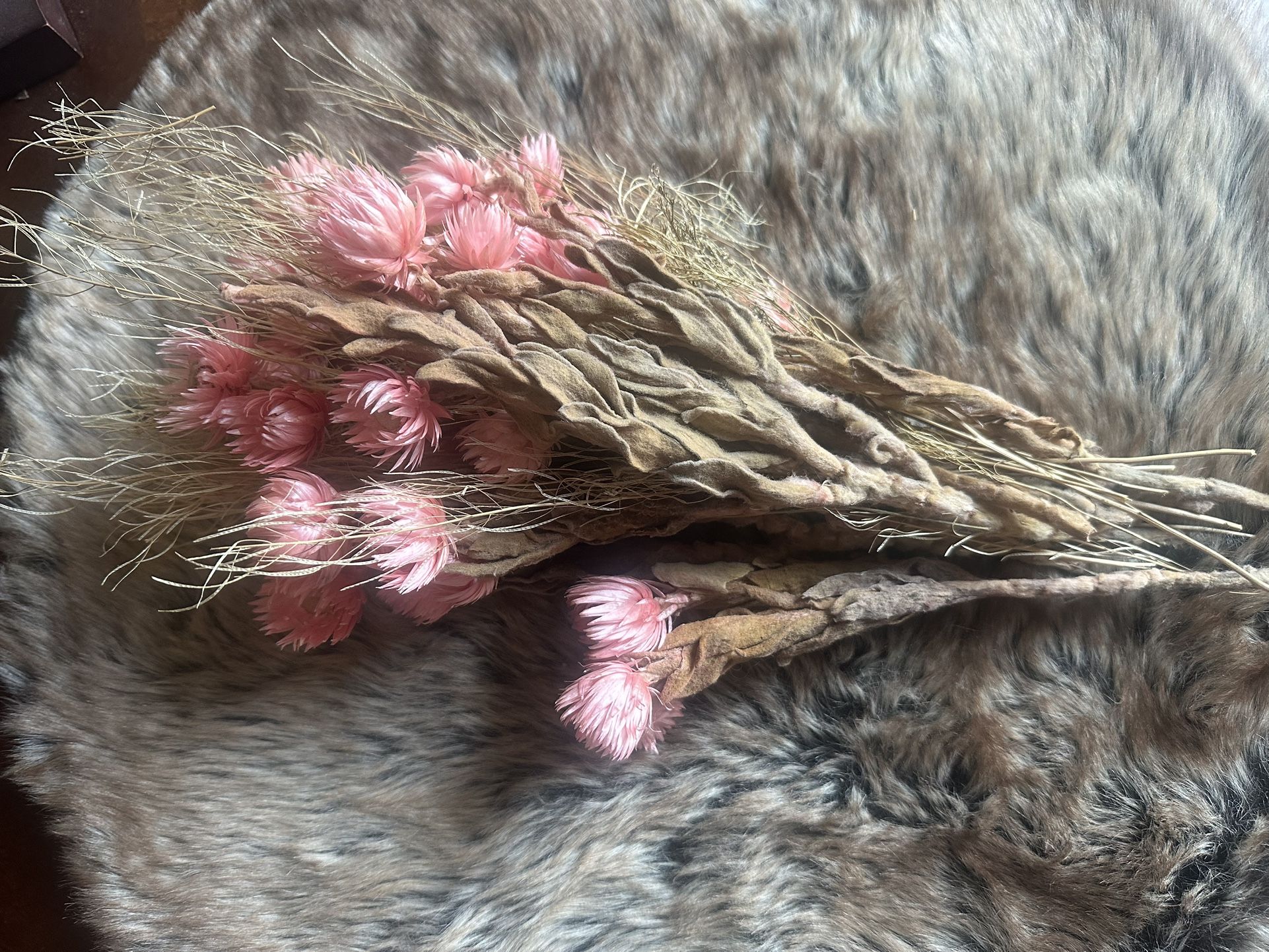 Pink dry flowers
