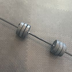 Weight Bar And Weights 