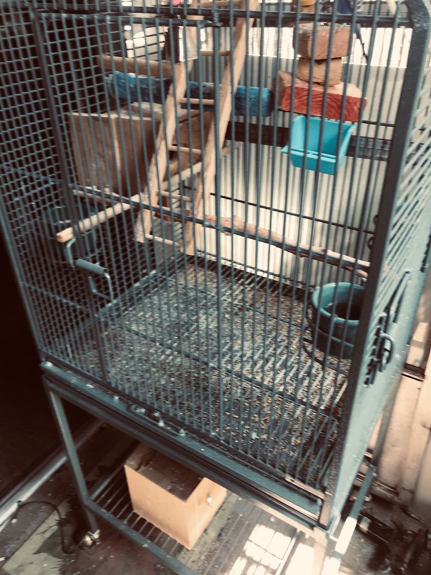 Large Bird cage with four parakeets